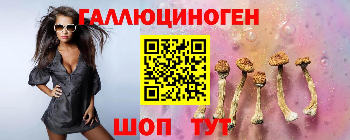 как найти   Вход с VPN  Осинники  Галлюциногенные грибы MAGIC MUSHROOMS 
