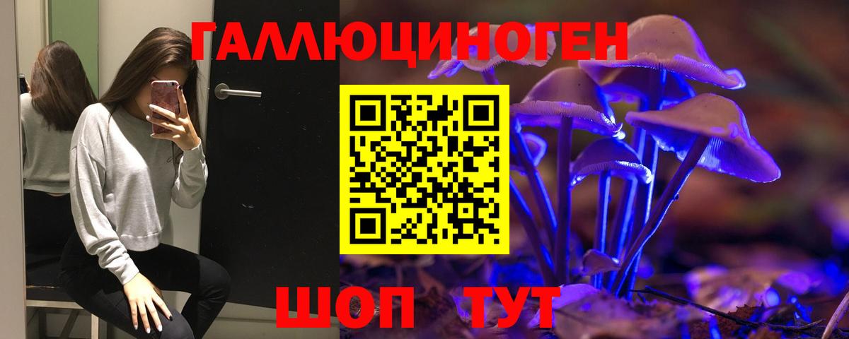 Псилоцибиновые грибы GOLDEN TEACHER Осинники